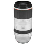 RF 100-500mm f/4.5-7.1L IS USM