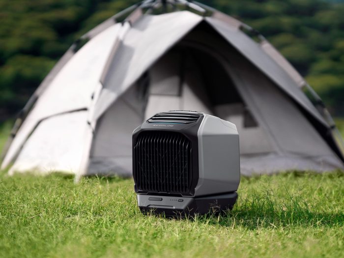 کولر قابل حمل EcoFlow WAVE 2
