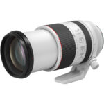Canon RF 70-200mm f/2.8 L IS USM - Image 4