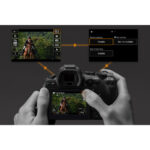 Canon EOS R6 Mark II Mirrorless Camera Kit 24-105mm f/4-7.1 Lens - Image 12