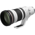 Canon RF 100-300mm f/2.8 L IS USM Lens - Image 5