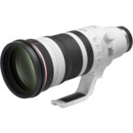 Canon RF 100-300mm f/2.8 L IS USM Lens - Image 6