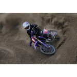 Canon RF 200-800mm f/6.3-9 IS USM Lens - Image 10