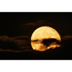 Canon RF 200-800mm f/6.3-9 IS USM Lens - Image 11