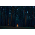 FUJIFILM X-H2 Mirrorless Camera Kit 16-80mm Lens - Image 17