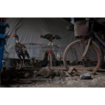 Leica Vario-Elmarit-SL 28-70mm f/2.8 ASPH. Lens - Image 9