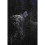 Nikon NIKKOR Z 180-600mm f/5.6-6.3 VR Lens - Image 12