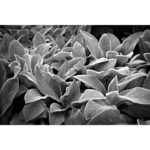 Nikon NIKKOR Z 28mm f/2.8 (SE) Lens - Image 19