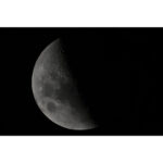 Nikon NIKKOR Z 800mm f/6.3 VR S Lens - Image 15