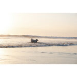 Nikon NIKKOR Z DX 16-50mm f/2.8 VR Lens - Image 9