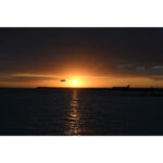 Nikon NIKKOR Z DX 16-50mm f/2.8 VR Lens - Image 10