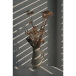 Nikon Z50 II Mirrorless Camera Body - Image 11