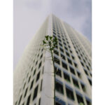 OM SYSTEM OM-3 Mirrorless Camera Body - Image 14