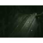 OM SYSTEM OM-3 Mirrorless Camera Kit 12-45mm f/4 Lens - Image 16