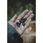 OM SYSTEM OM-5 Mirrorless Camera Body (Silver) - Image 10